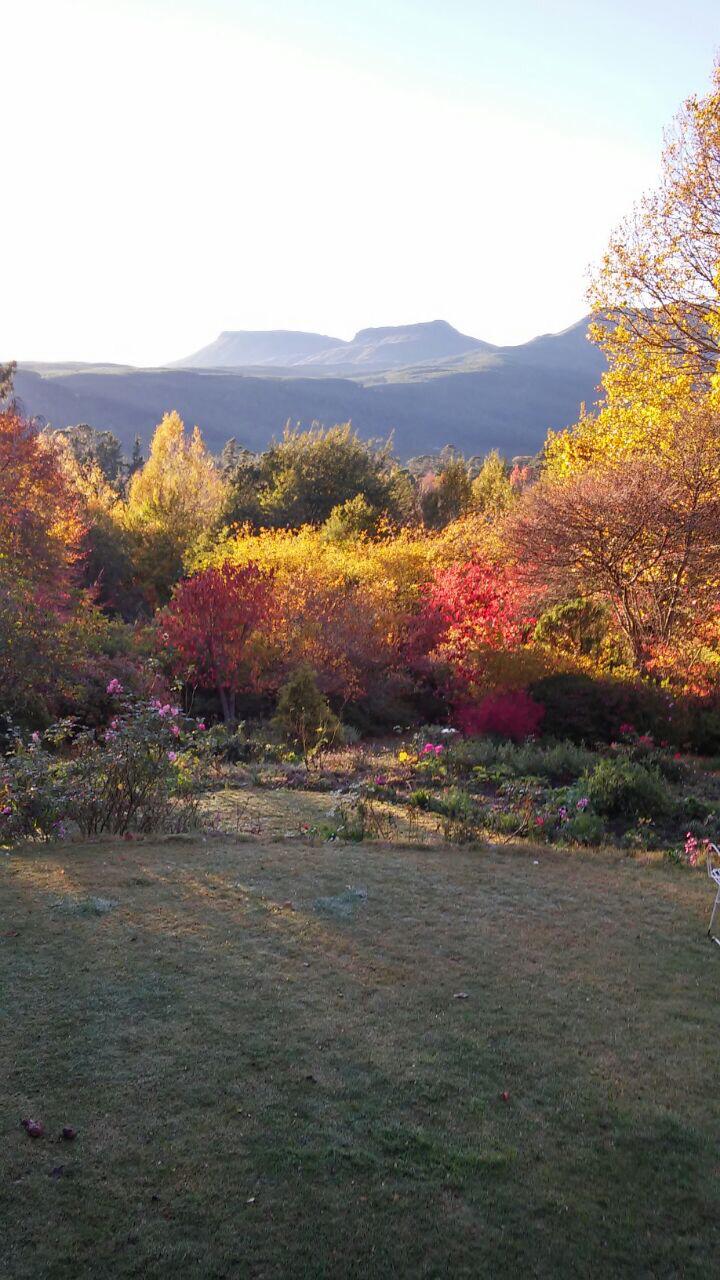 3 Bedroom Property for Sale in Hogsback Eastern Cape